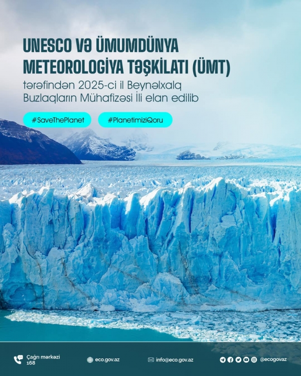 ВМО и ЮНЕСКО объявили 2025 год Международным годом сохранения ледников