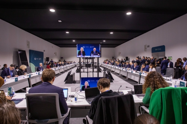 Ministerial Dialogue: Scaling Up Investment for Tripling Renewables and Doubling Energy Efficiency was held at COP29