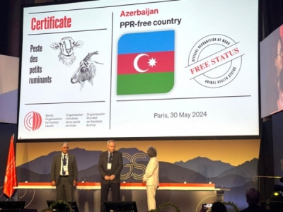 Azerbaijan presented award at international event in Paris