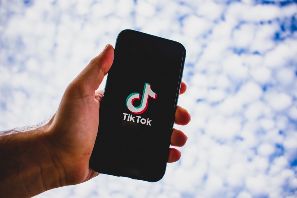 TikTok ‘promoted misogyny and negative stereotypes’ in run-up to EU elections