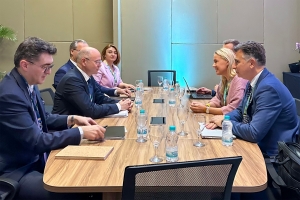 Green partnership with EU and UK within COP was discussed in Brazil