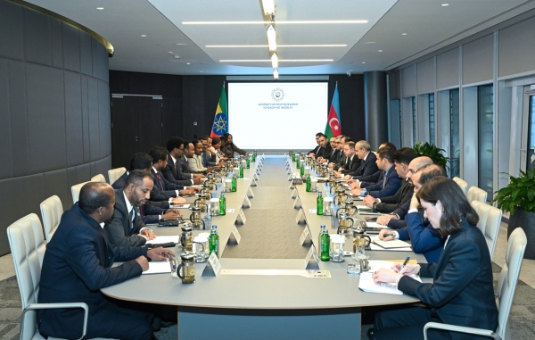 Azerbaijan and Ethiopia discuss economic cooperation opportunities