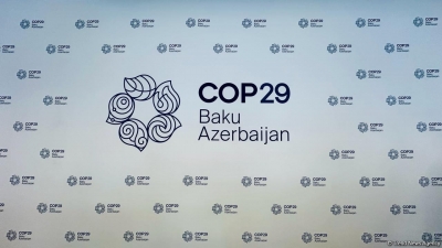 “COP29-a Aparan Yol: Dayanıqlı və Davamlı Gələcək” mövzusunda Yüksək Səviyyəli 29-cu Toplantı