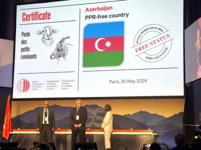 Азербайджан награжден специальным сертификатом на международном мероприятии, прошедшем в Париже