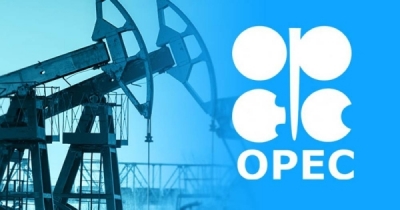 OPEC+ committee to meet to discuss oil market situation amid planned production cuts