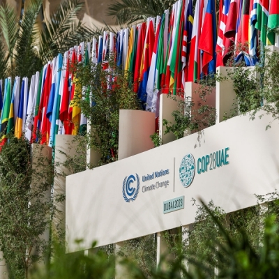 COP29: We will contribute to the climate change solutions