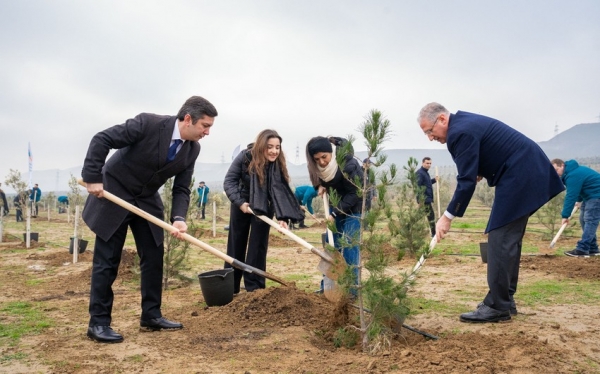 Ekologiya və Təbii Sərvətlər Nazirliyi və Azərbaycanın COP komandası ağacəkmə aksiyası keçirib