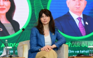 Представитель ООН: Азербайджан должен быть готов к устойчивой и &quot;зеленой&quot; экономике
