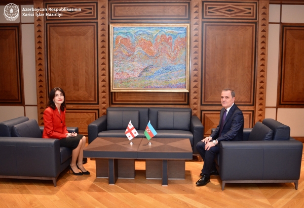 Azerbaijani, Georgian FMs meet one-on-one