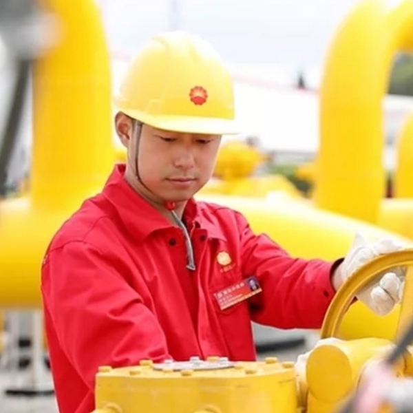 CNPC обнаружила  крупнейшее в Китае  месторождение сланцевой нефти