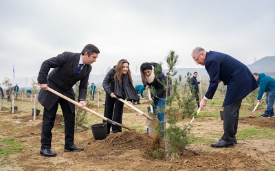 Azerbaijan&#039;s Ministry of Ecology, COP29 team hold tree planting campaign